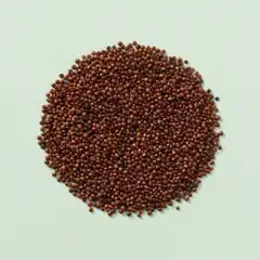 Quinoa rood (bio) (400 gram stazak)