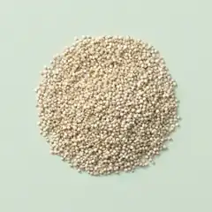 Quinoa wit (bio) (500 gram zak)