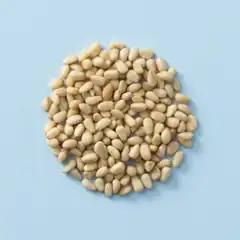 Pijnboompitten geroosterd (180 gram)