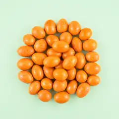 Chocopinda's oranje (600 gram stazak)