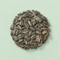Zonnebloempitten in dop geroosterd & gezouten (200 gram stazak)