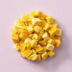 Gevriesdroogde mango stukjes (40 gram)