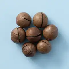 Macadamia noten in dop geroosterd gezouten (400 gram)