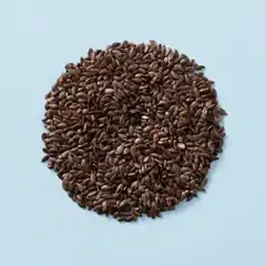Lijnzaad heel (bio) (500 gram stazak)