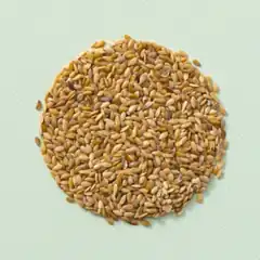 Lijnzaad blond (500 gram stazak)