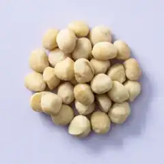 Macadamia noten ongebrand (bio) (450 gram zak)