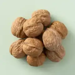 Walnoten in dop (500 gram stazak)
